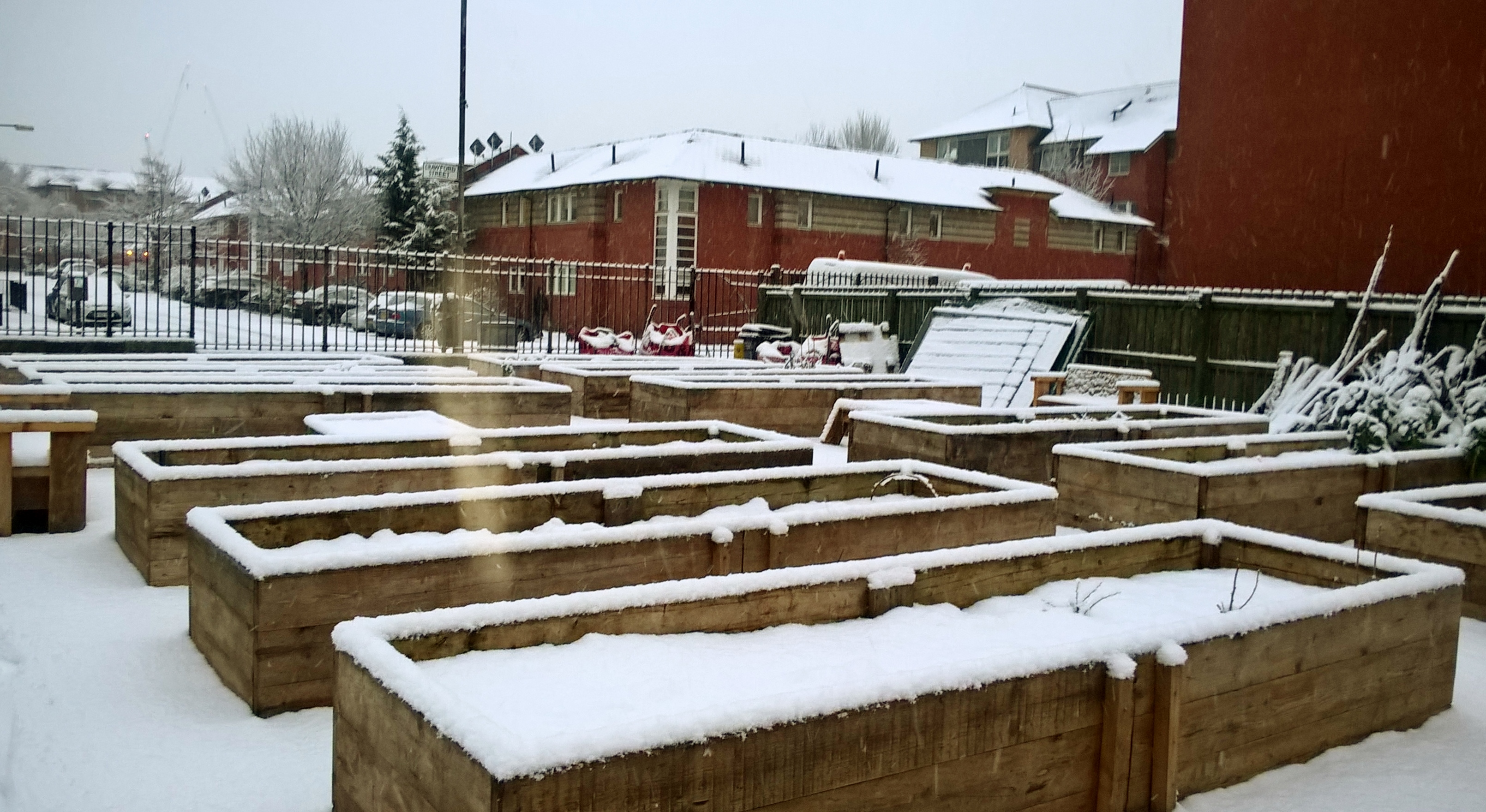 Winter 1
